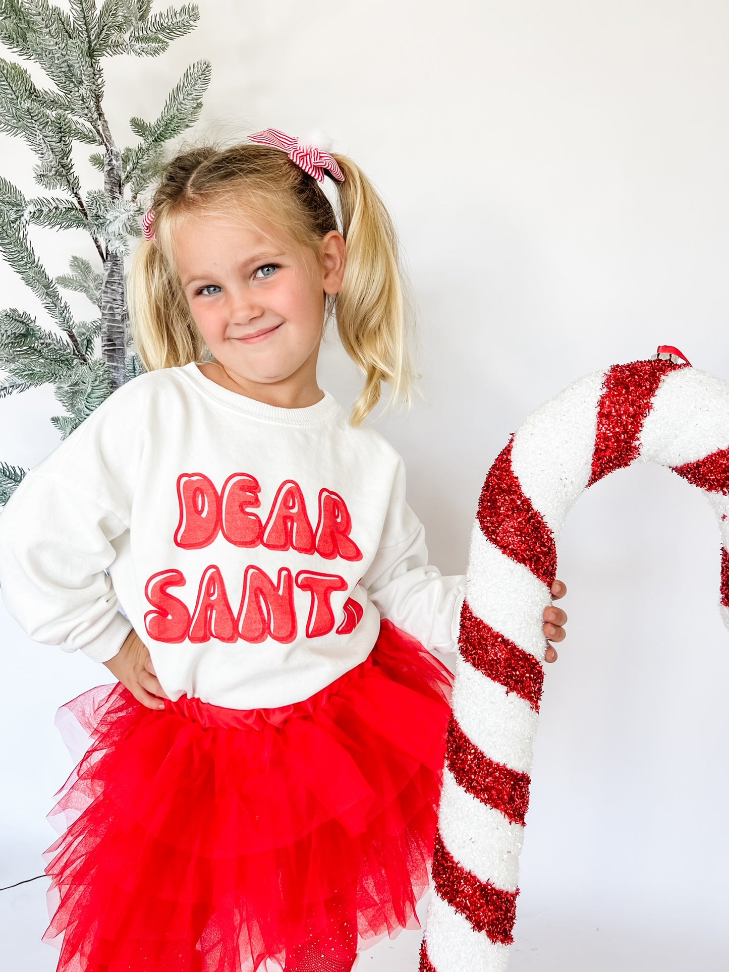 Dear Santa, I Can Explain Sweatshirt