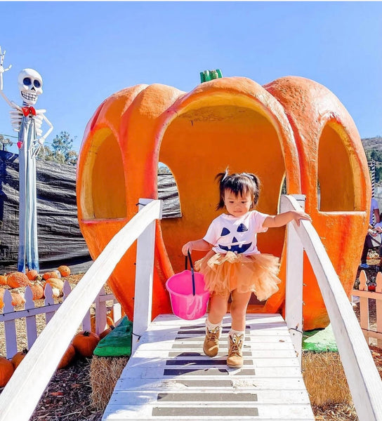 Jack-o-lantern in Seashell